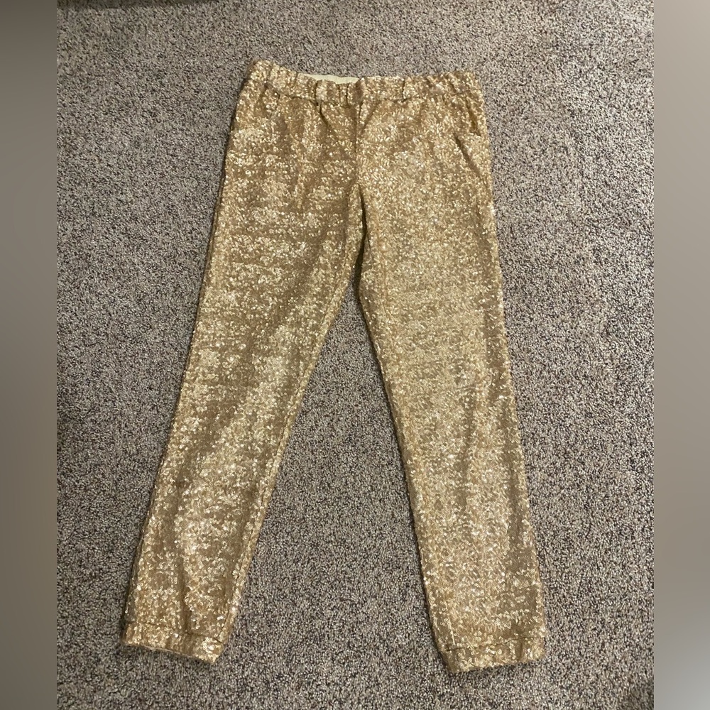 Free People Sequin Pants